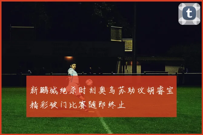 新鹏城绝杀时刻奥乌苏助攻胡睿宝精彩破门比赛随即终止