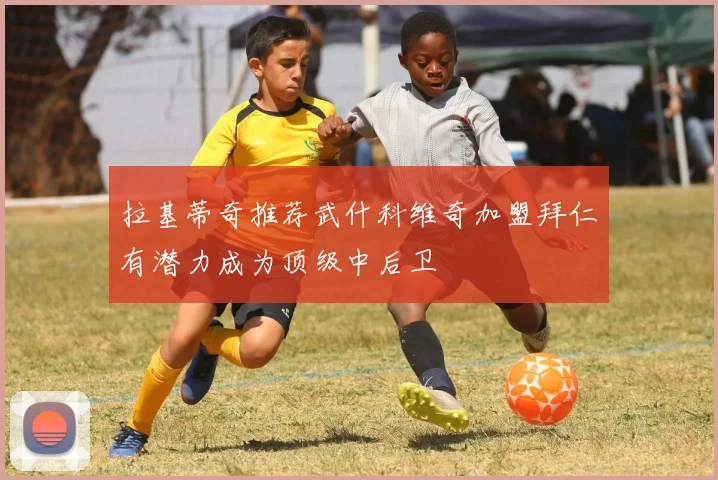 拉基蒂奇推荐武什科维奇加盟拜仁有潜力成为顶级中后卫