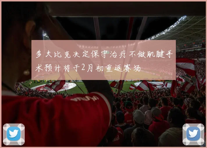多夫比克决定保守治疗不做肌腱手术预计将于2月初重返赛场